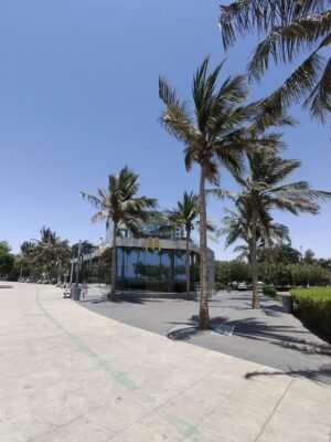 Mcdonalds in Saudi Arabia