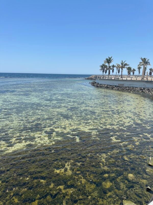The views of the Red Sea in Jeddah