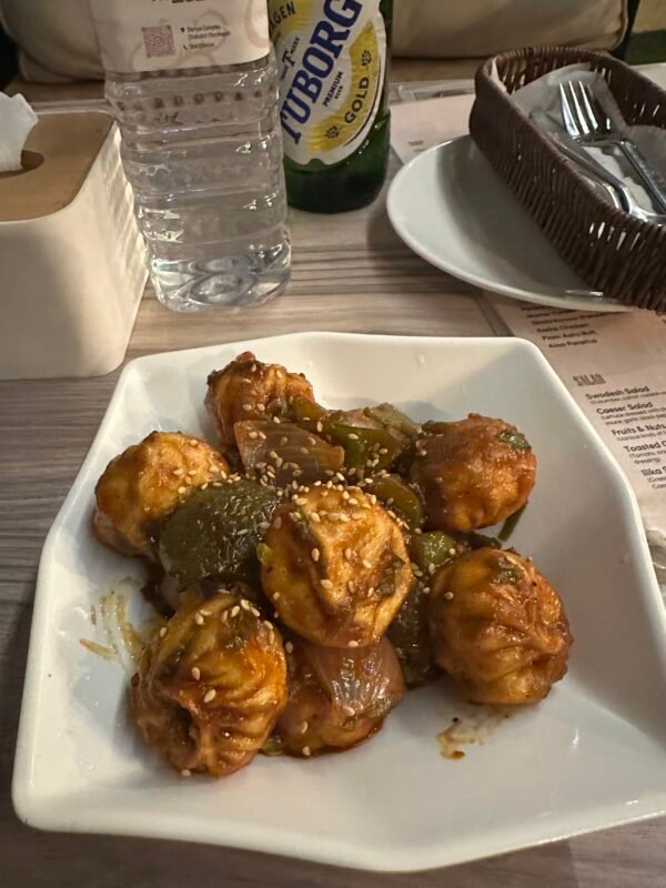 Fried momos in Kathmandu, Nepal