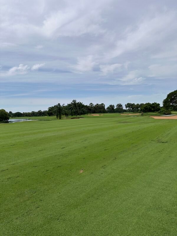 Golfing in cambodia at Angkor Golf Resort